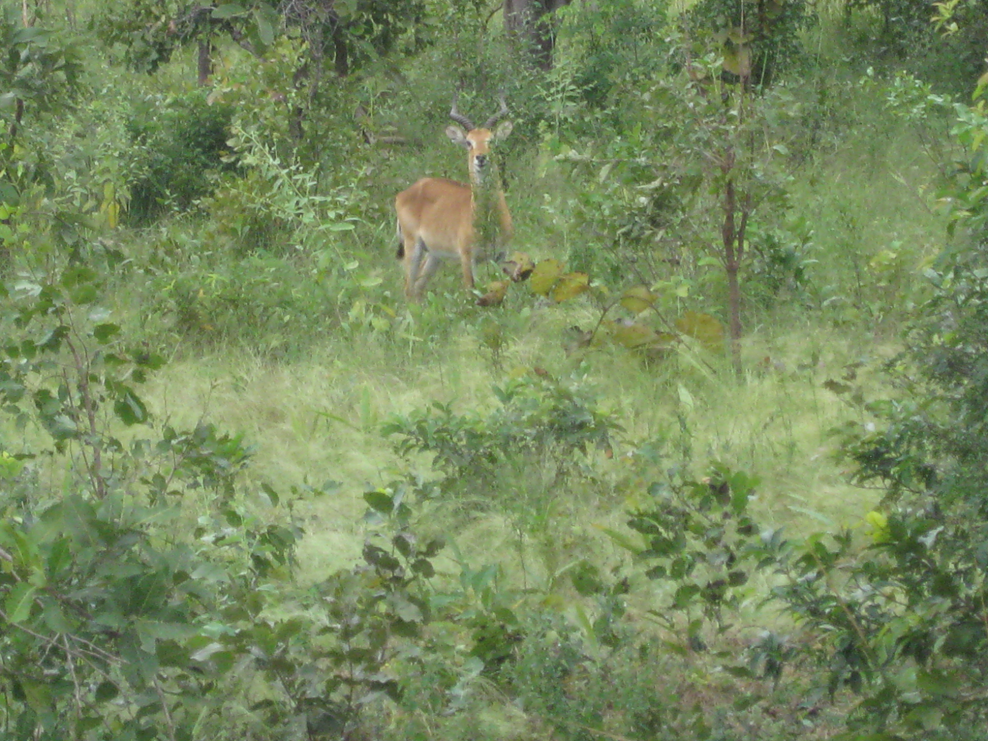 IMG_3835 IMG_3835