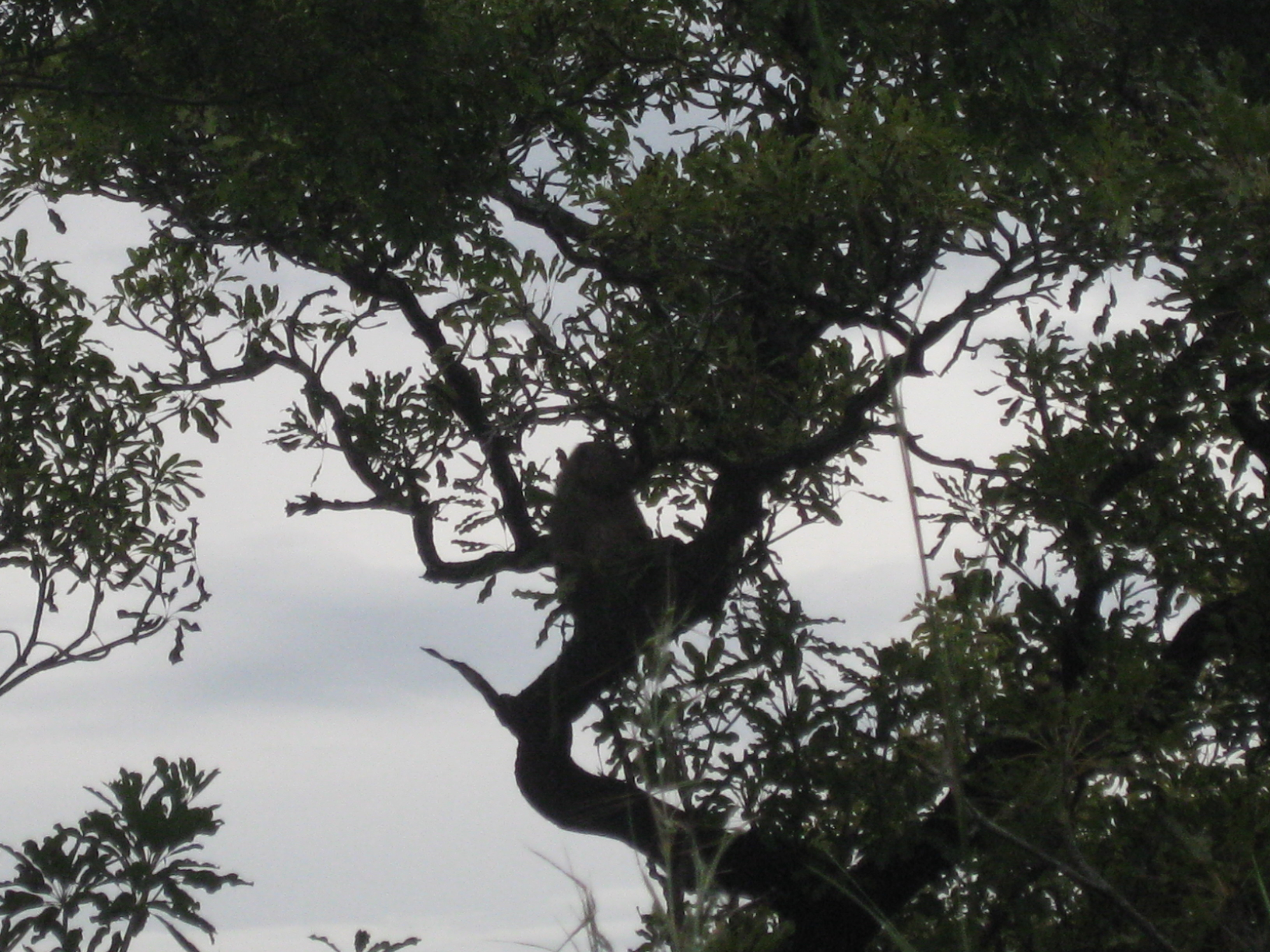 IMG_3840 IMG_3840