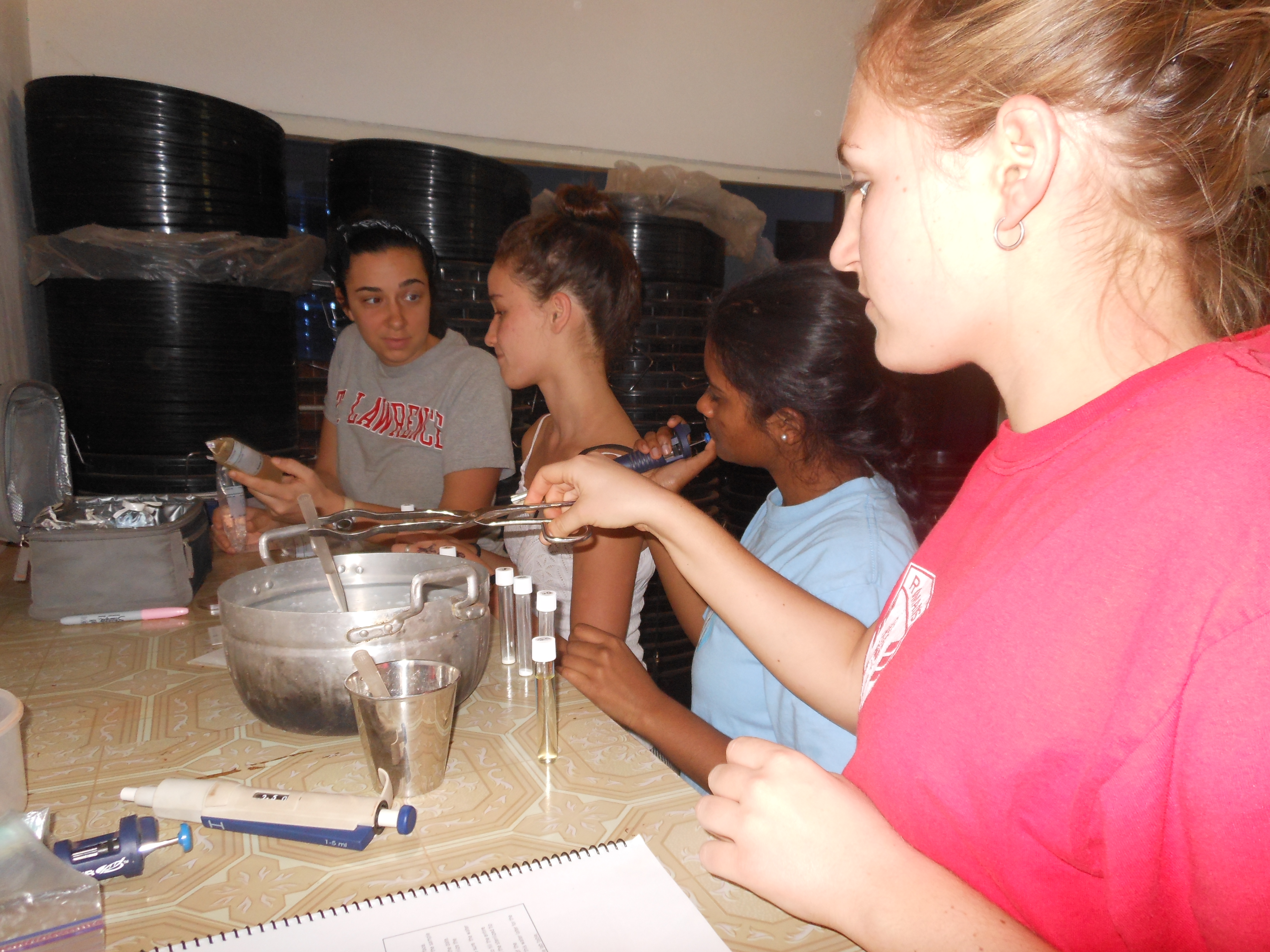 Emily, Sarah, Priya, and Lauren, from Team C, preparing their samples.