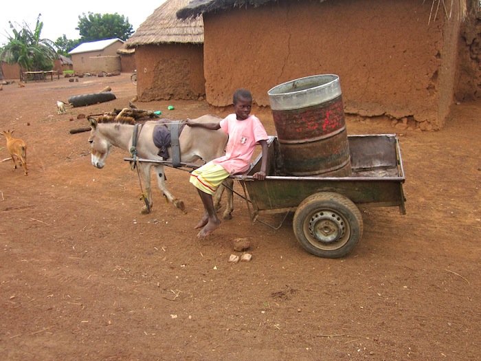 Donkey seller