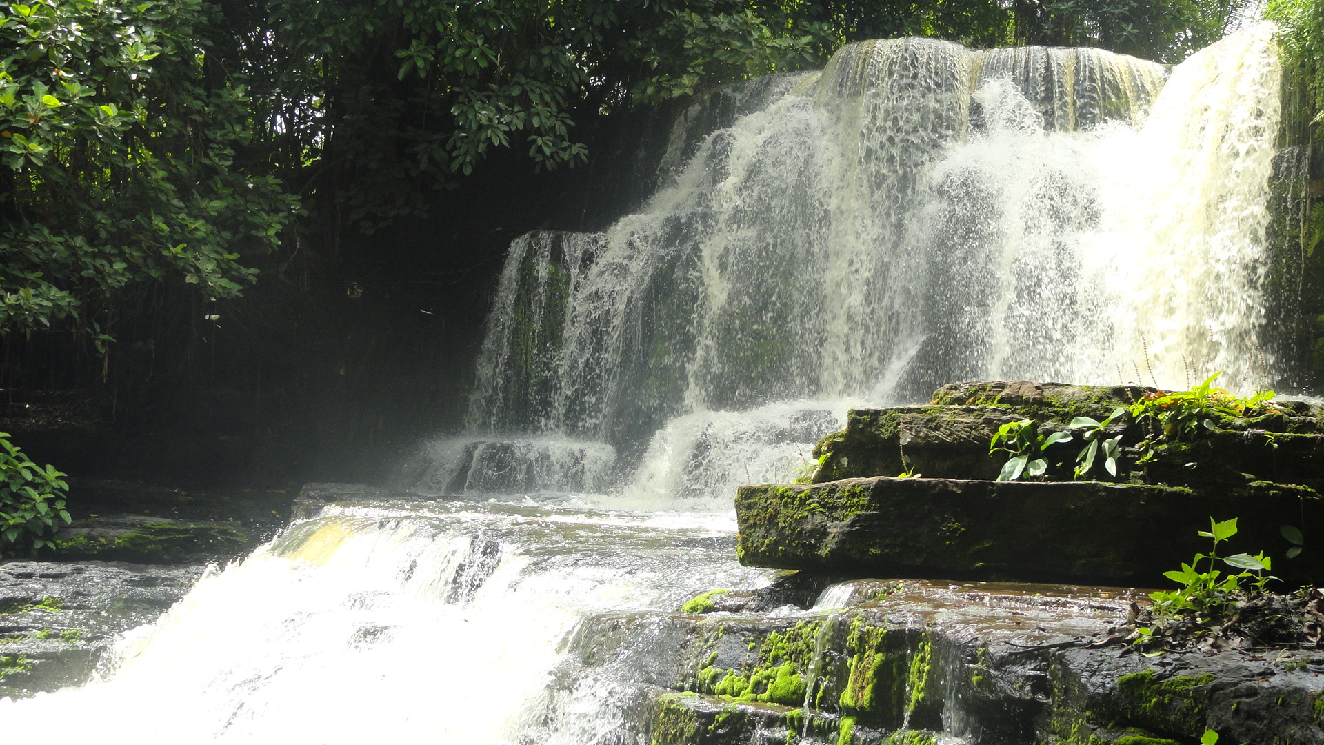 The waterfalls